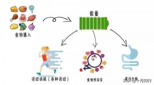 运动后过量氧耗和氧亏_关注细节能力_有氧运动关注什么能力